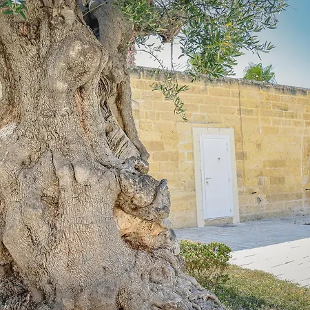 Farm stay Masseria Tenuta Quintino Torre Lapillo